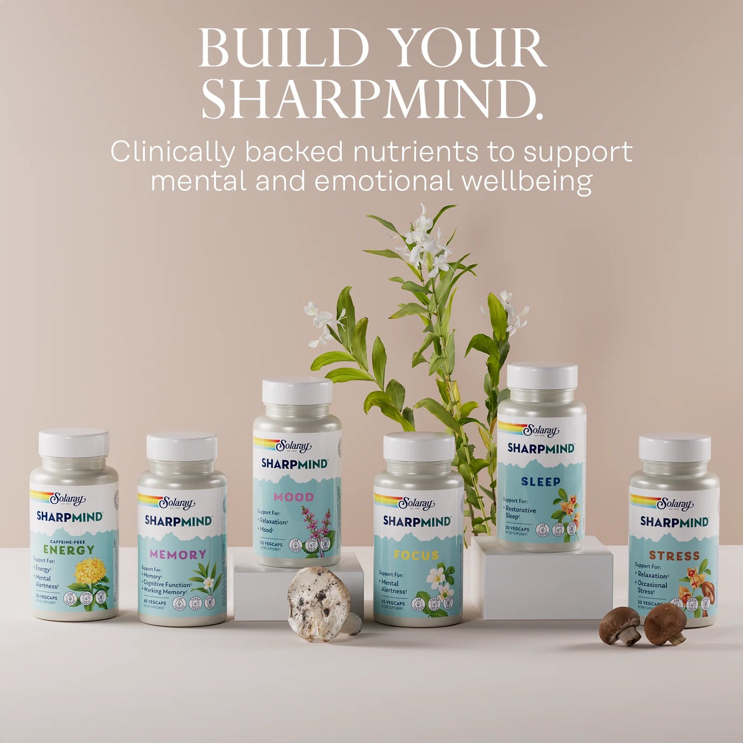 Sharpmind Mood, Nootropic Happy Mood and Relaxation Support Supplement, Zembrin 25 Mg, Holy Basil 200 Mg, Lithium Orotate 5Mg, Mushroom 200 Mg, 60 Day Money Guarantee, 30 Serv 30 Vegcaps