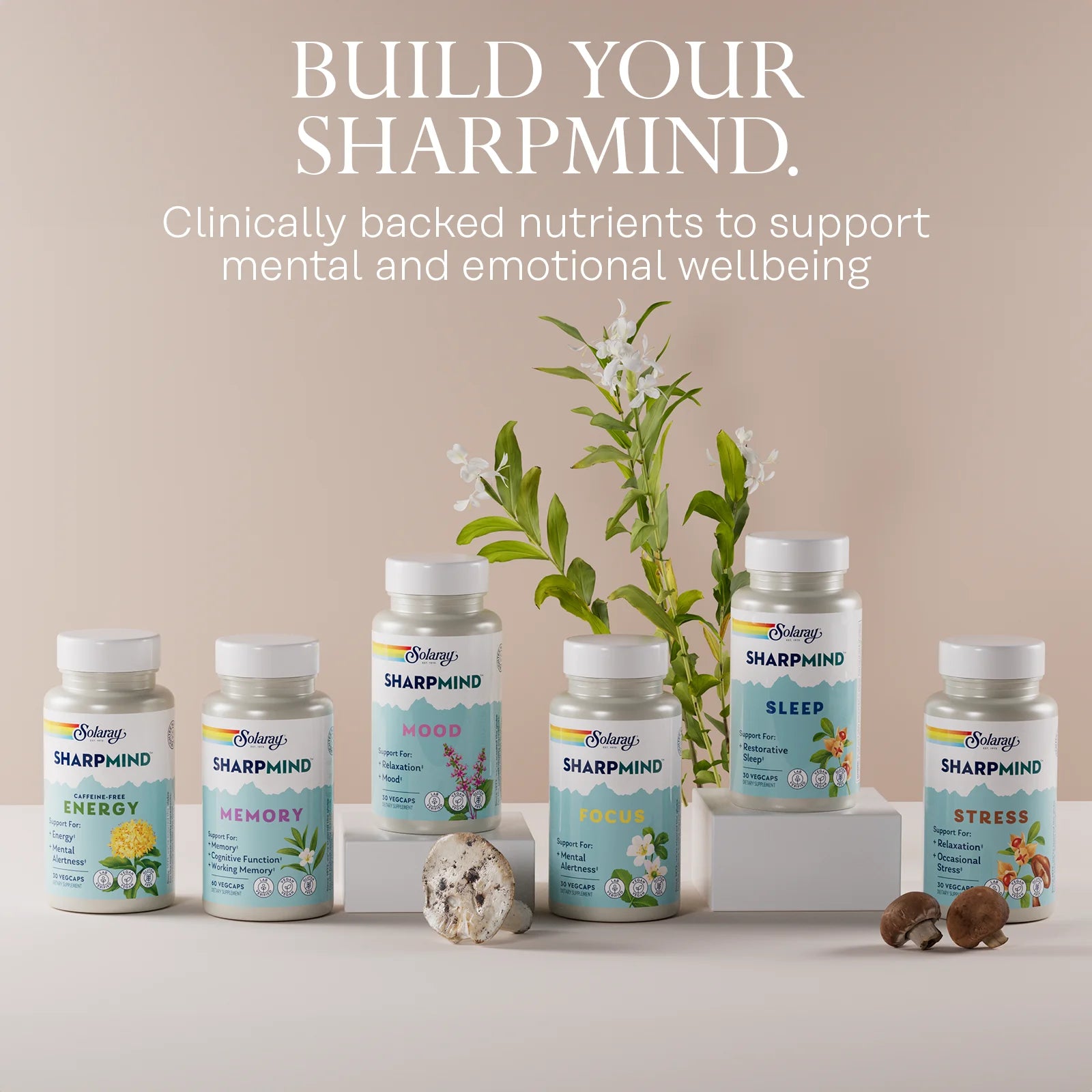 Sharpmind Mood, Nootropic Happy Mood and Relaxation Support Supplement, Zembrin 25 Mg, Holy Basil 200 Mg, Lithium Orotate 5Mg, Mushroom 200 Mg, 60 Day Money Guarantee, 30 Serv 30 Vegcaps